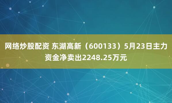 网络炒股配资 东湖高新（600133）5月23日主力资金净卖出2248.25万元