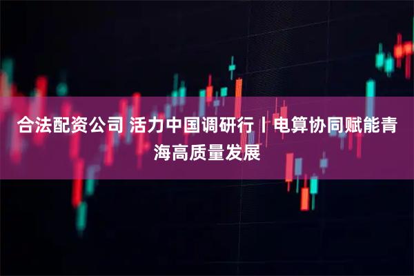 合法配资公司 活力中国调研行丨电算协同赋能青海高质量发展