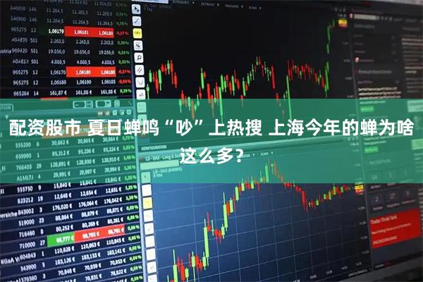 配资股市 夏日蝉鸣“吵”上热搜 上海今年的蝉为啥这么多？